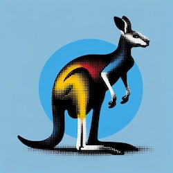 system hopper kangaroo