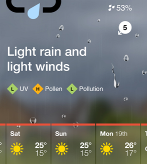 weather forecast