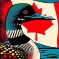 Canadian loon