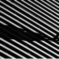 shadow trading thumbnail