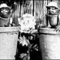 flower pot men