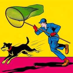 man chasing dog with net - Donchian breakout strategy thumbnail image